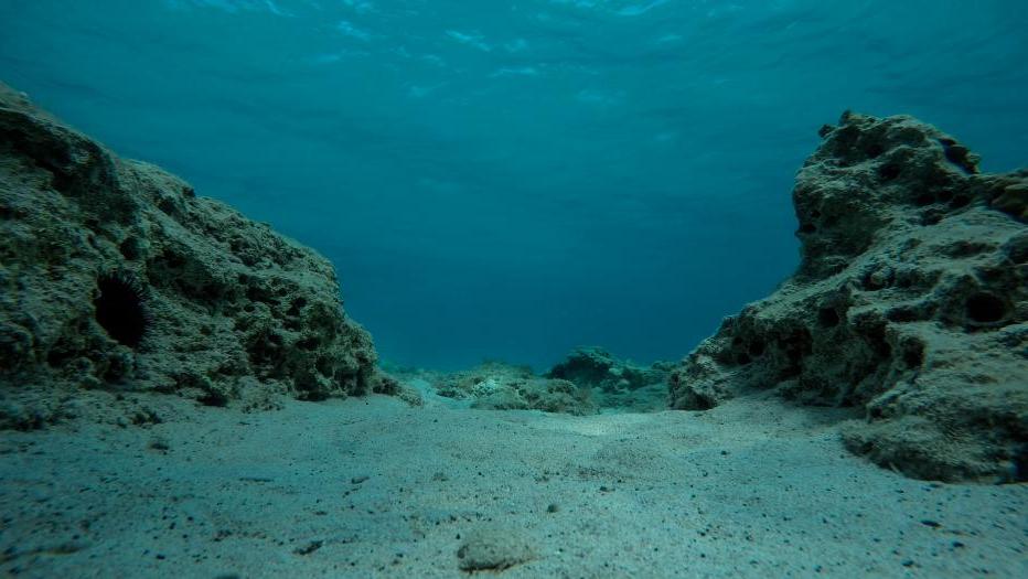 空旷的海底布满岩石、礁石和海胆